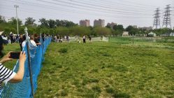 -268童话露营农场·烧烤·团建