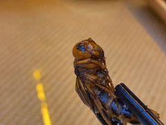 -火咂咂竹筒宴(告庄店)