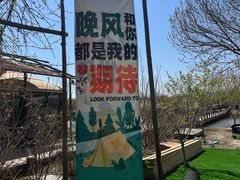 -西青郊野公园