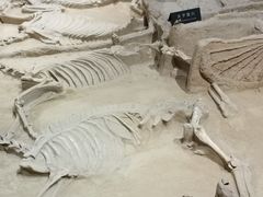 -洛阳周王城天子驾六博物馆