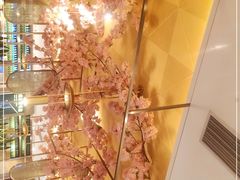 -潮火锅·麻辣牛肉火锅(观音桥方圆·LIVE店)