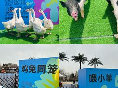-海合安天津极地海洋公园