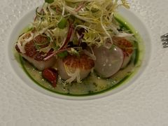 -蝶舍·MAISON PAPILLON