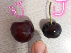 -沈阳市八家子水果批发市场