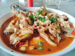 -煲来饱去冷水鱼