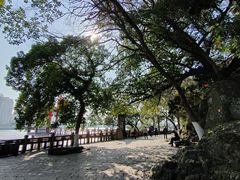 -江心屿景区
