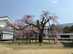 -醍醐寺