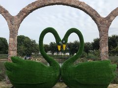 -鹅湖玫瑰文化园