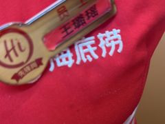 -海底捞火锅(吾悦国际广场店)