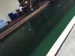 -水都餐厅