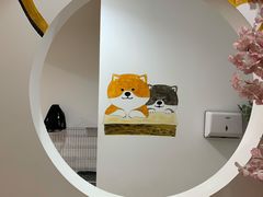 -柴迷FANS CLUB·柴犬狗咖·猫咖