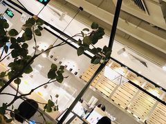 -莓超疯