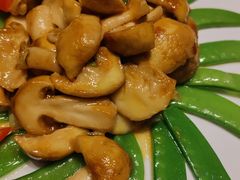 -伊帆食府·青海地方特色美食