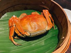 膏蟹-新天世纪中餐厅