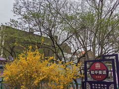 -睦南公园