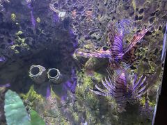 -太平洋海底世界