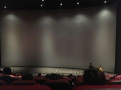 -百丽宫影城(CGS激光苏宁广场店)