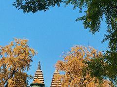 -北京石刻艺术博物馆(五塔寺)