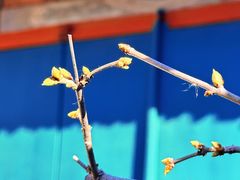 -宫事颐庭·老佛爷贵寿下午茶(颐和园店)