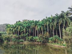 -滴水岩森林公园