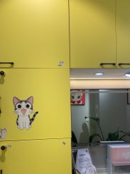 -洗脸猫·洗脸吧