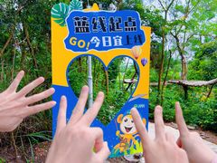 -芦仙山景区-飞越丛林探险乐园