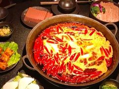 -星鸿社重庆老火锅