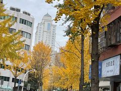 -都谷包子(天一广场店)