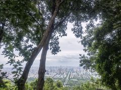 -大蜀山国家森林公园