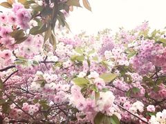-大雁塔北广场音乐喷泉