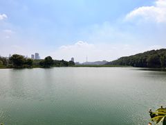 -月湖风景区