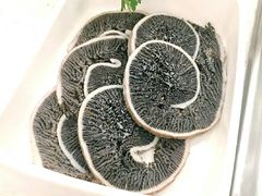 -海底捞(明洞店)