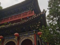 -青龙山生态文化旅游区(慈云寺)