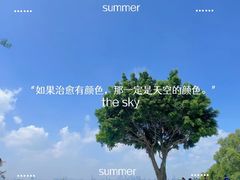 -火炉山森林公园