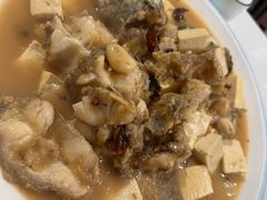-煲来饱去冷水鱼