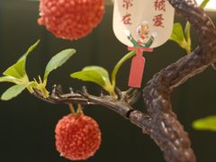 -椿记烧鹅(叠彩店)