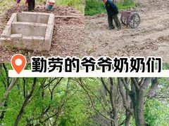 -祝甸砖窑文化馆