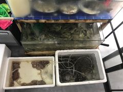 -阿杰臻选海鲜饭店(普陀山店)