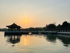 -君来湖滨饭店·玫瑰园