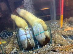 -ONE FULL 古董港式海鲜火锅