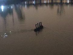 -苏州科技大学石湖校区-图书馆