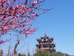 -川沙古镇-停车场