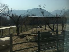 -西安秦岭野生动物园