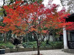 -惠山古镇·寄畅园