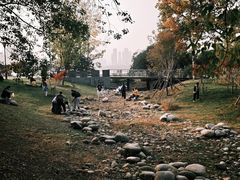 -月湖风景区