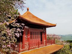 -南沙天后宫景区