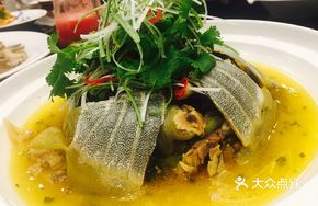 Steamed养生 Turtle