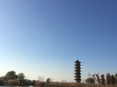 -东云阁大酒家(西苑路店)