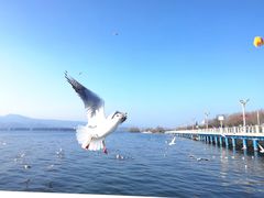 -海埂大坝