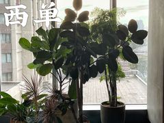 -查特花园美食广场(西单大悦城店)